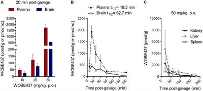 The Endocannabinoid Reuptake Inhibitor WOBE437 Is Orally Bioavailable and Exerts Indirect Polypharmacological Effects via Different Endocannabinoid Receptors